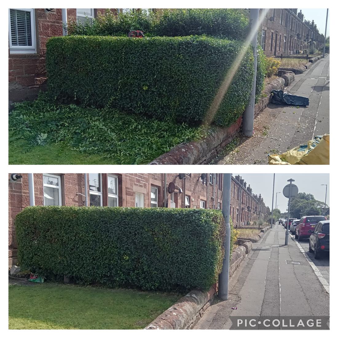 Roadside hedge before and after trimming in Troon.