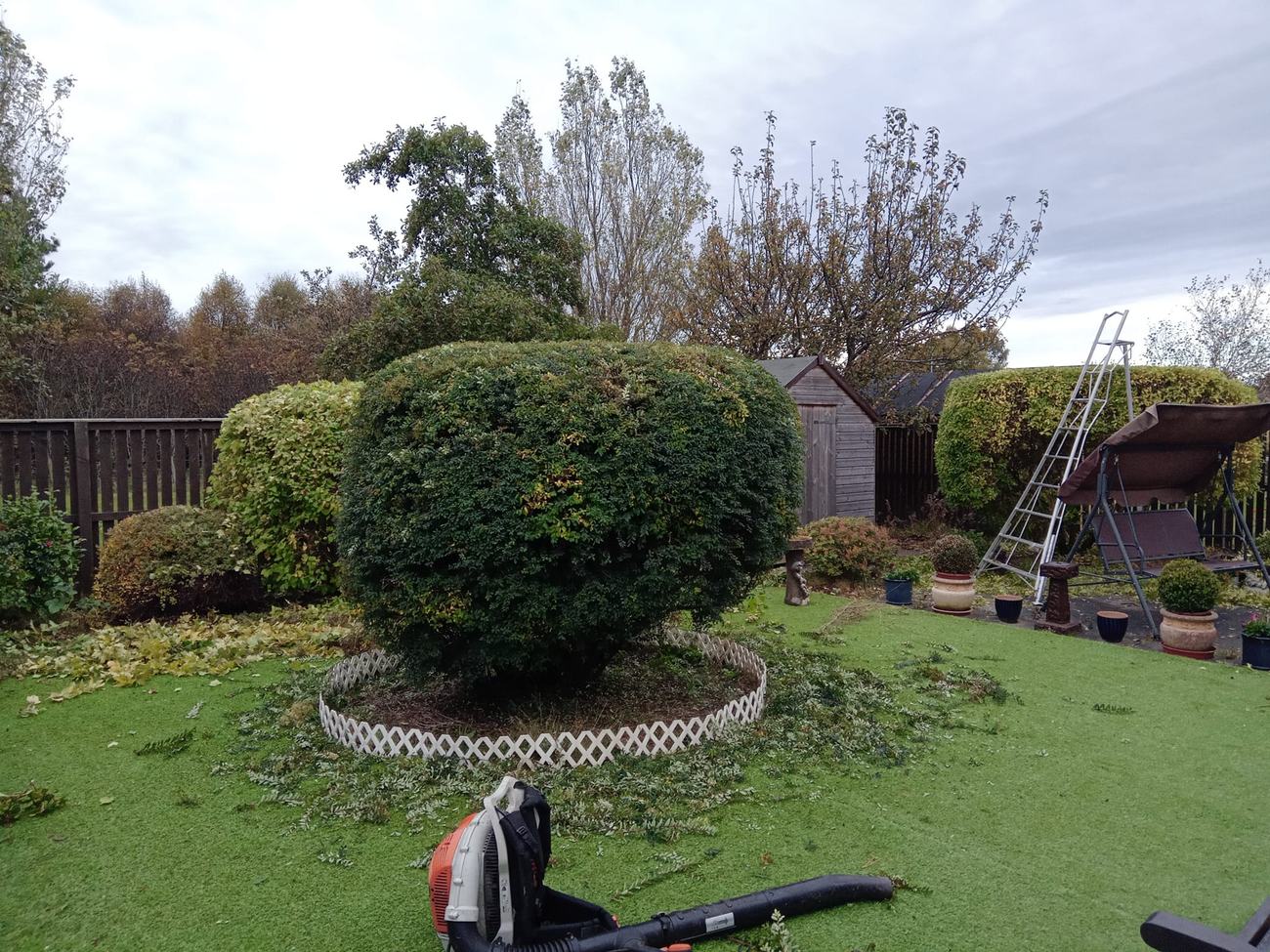Shaped shrub and hedges after trimming.