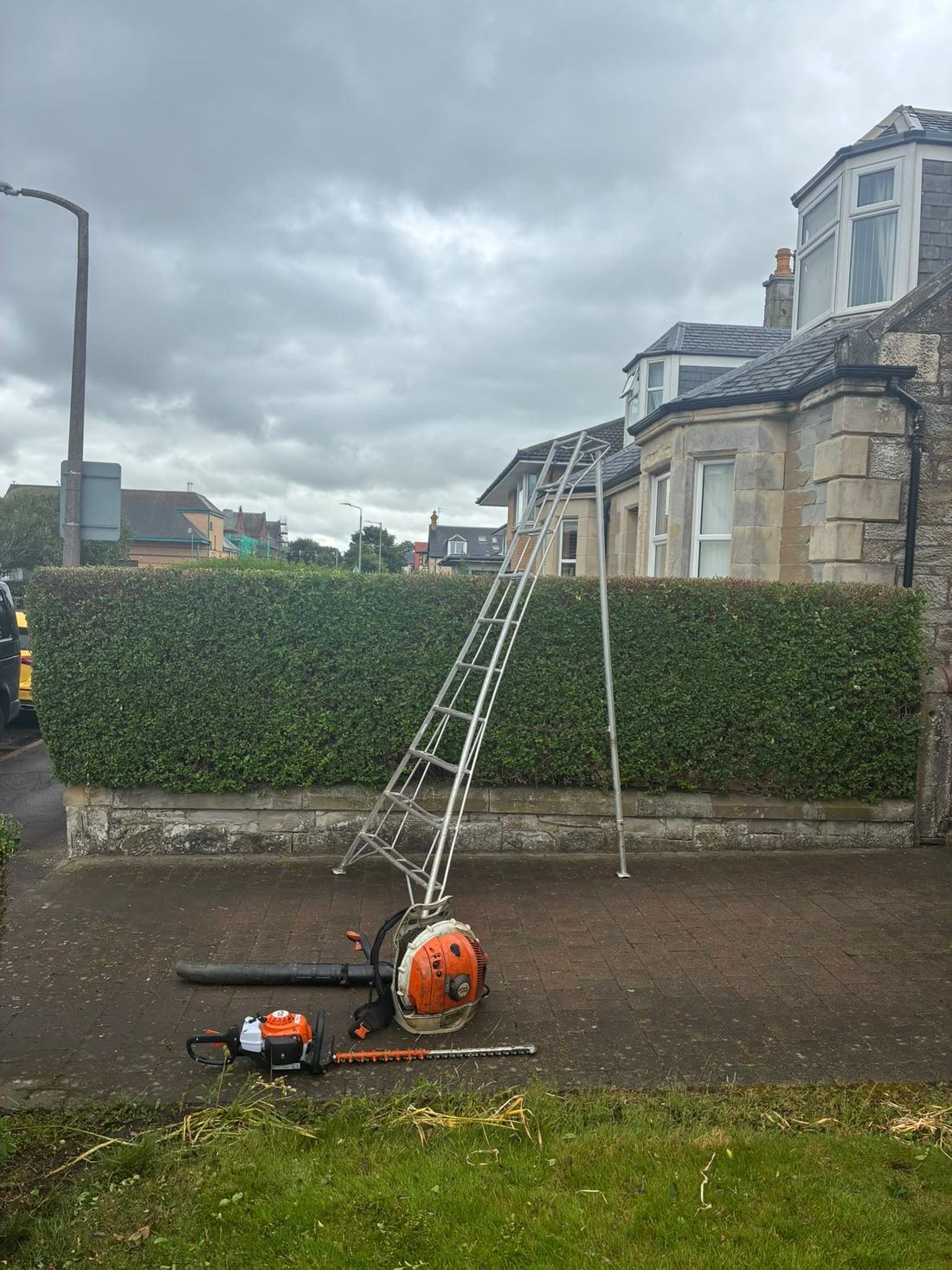 A long beech hedge cut level and square, with ladder and hedge trimmer beside it.